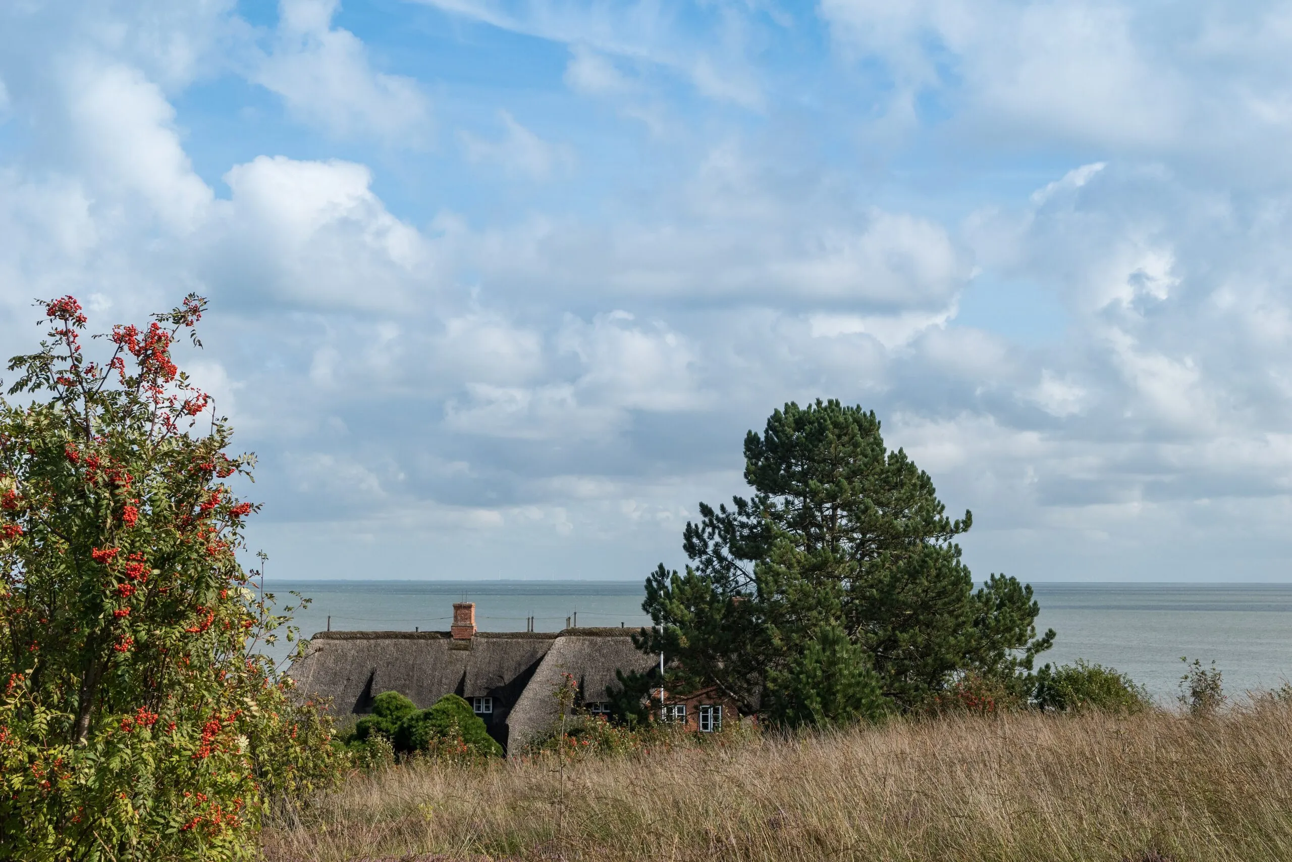 Kampen in Sylt: Blick auf das Wattenmeer Sylt (24237174347) (3)